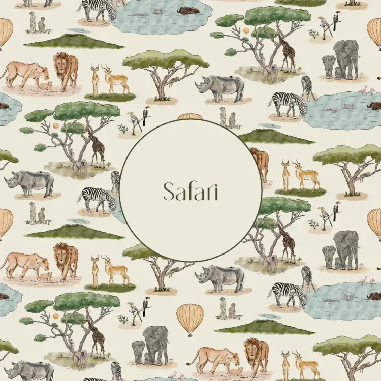 Safari web portfolio image